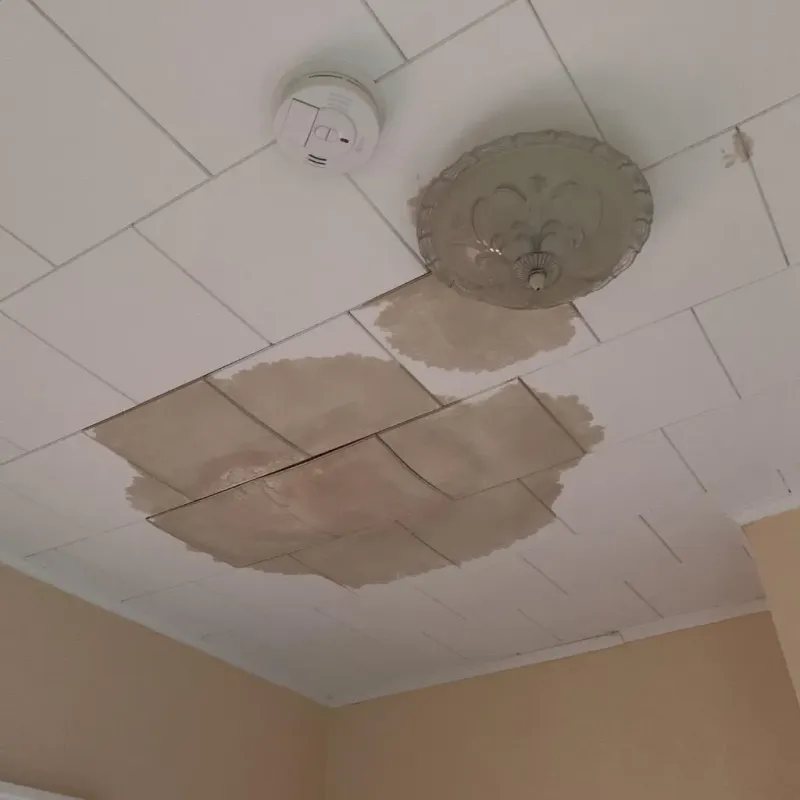 Ceiling Water Damage Repair in Warminster Heights, PA